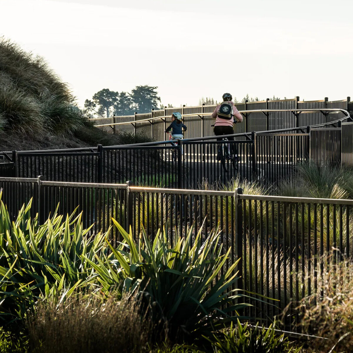 Download producer statements from Urban Group